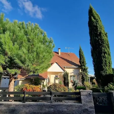 La Maison De Celine Holiday home Muntzenheim